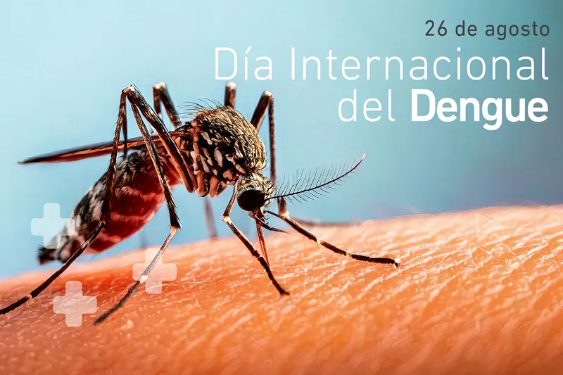 26 de Agosto: “Día Internacional contra el Dengue”