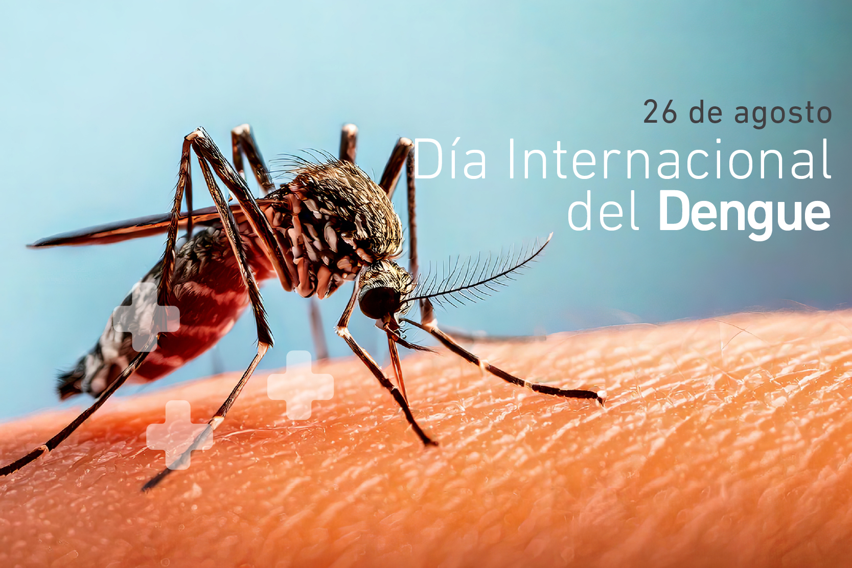 26 de Agosto: “Día Internacional contra el Dengue”