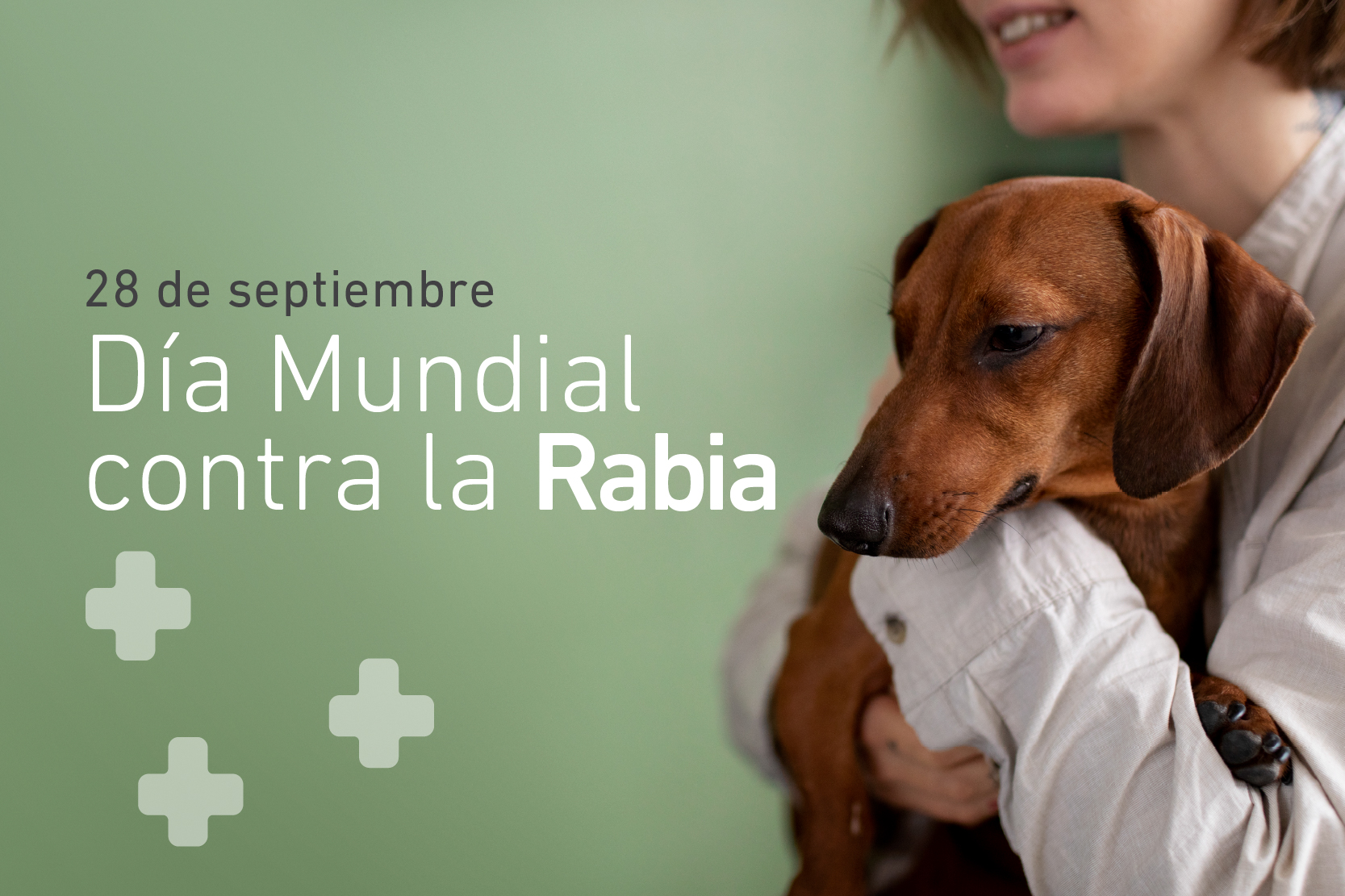 28 de septiembre: Día Mundial de Lucha contra la Rabia