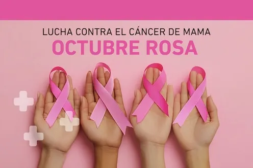19 de octubre: Día Mundial de la Lucha contra el Cáncer de Mama