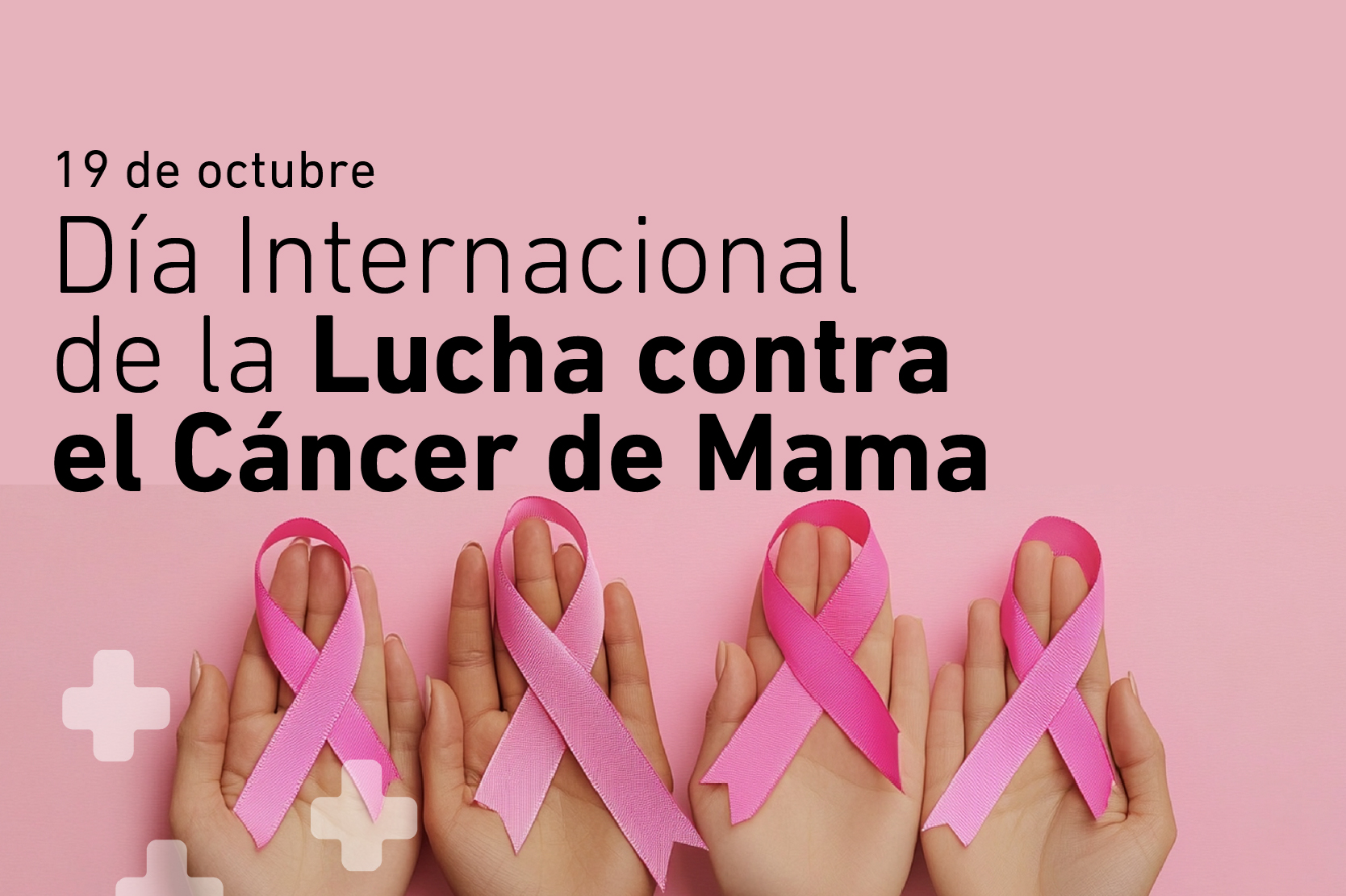19 de octubre: Día Internacional de la Lucha contra el Cáncer de Mama (Octubre Rosa)