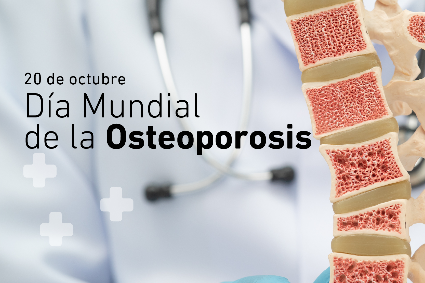 20 de octubre: Día Mundial de la Osteoporosis