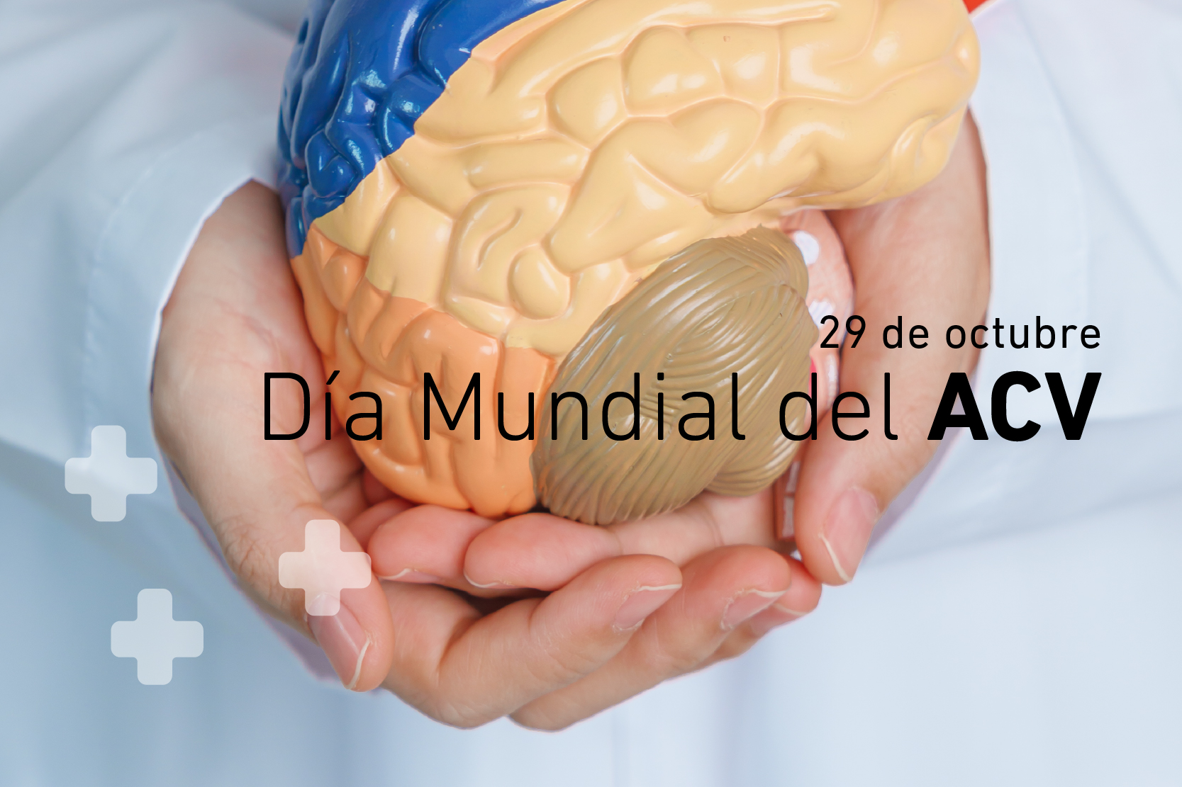 29 de octubre: Día Mundial del ACV (Accidente Cerebrovascular)